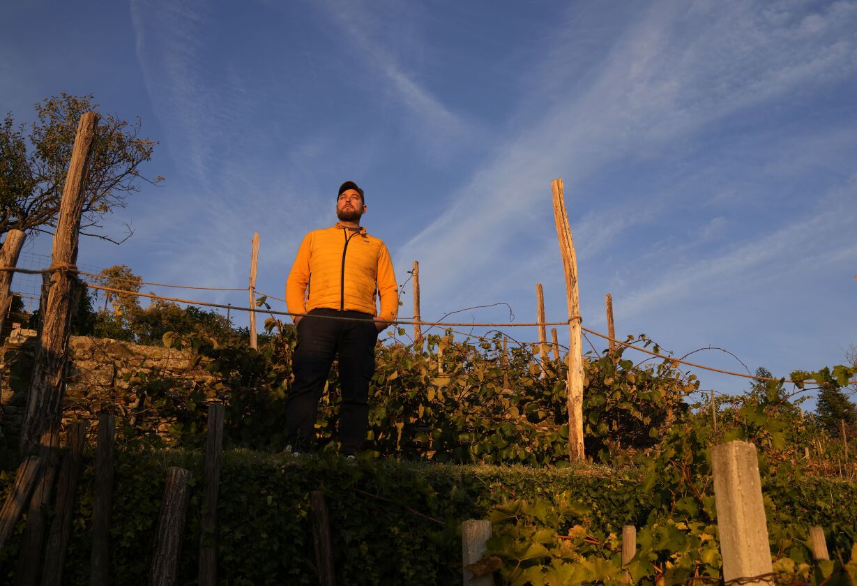 Winemaker Milos Skabar stands at his vineyard of the “Prosekar” variety in Prosecco, near Trieste, Italy. Italy has pledged to defend the name of the popular sparkling wine Prosecco as Croatia petitions the European Union to allow its winemakers to call their sweet dessert wine Prosek. The decision not only is a threat to the entire system of EU geographical designations created to guarantee the quality of artisanal food, wine and spirits. 